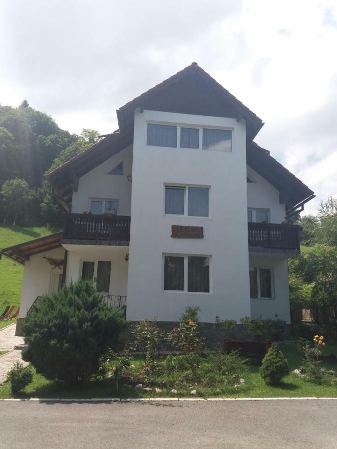 Pensiunea Vladut Bran  Exterior photo